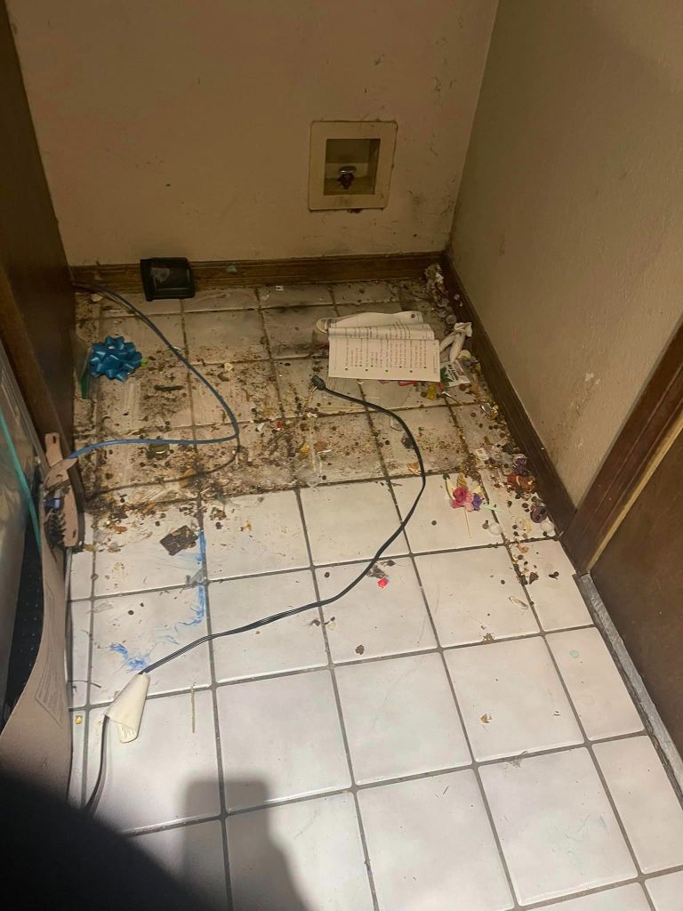 Gallery Image : K.E.E Cleaning Service